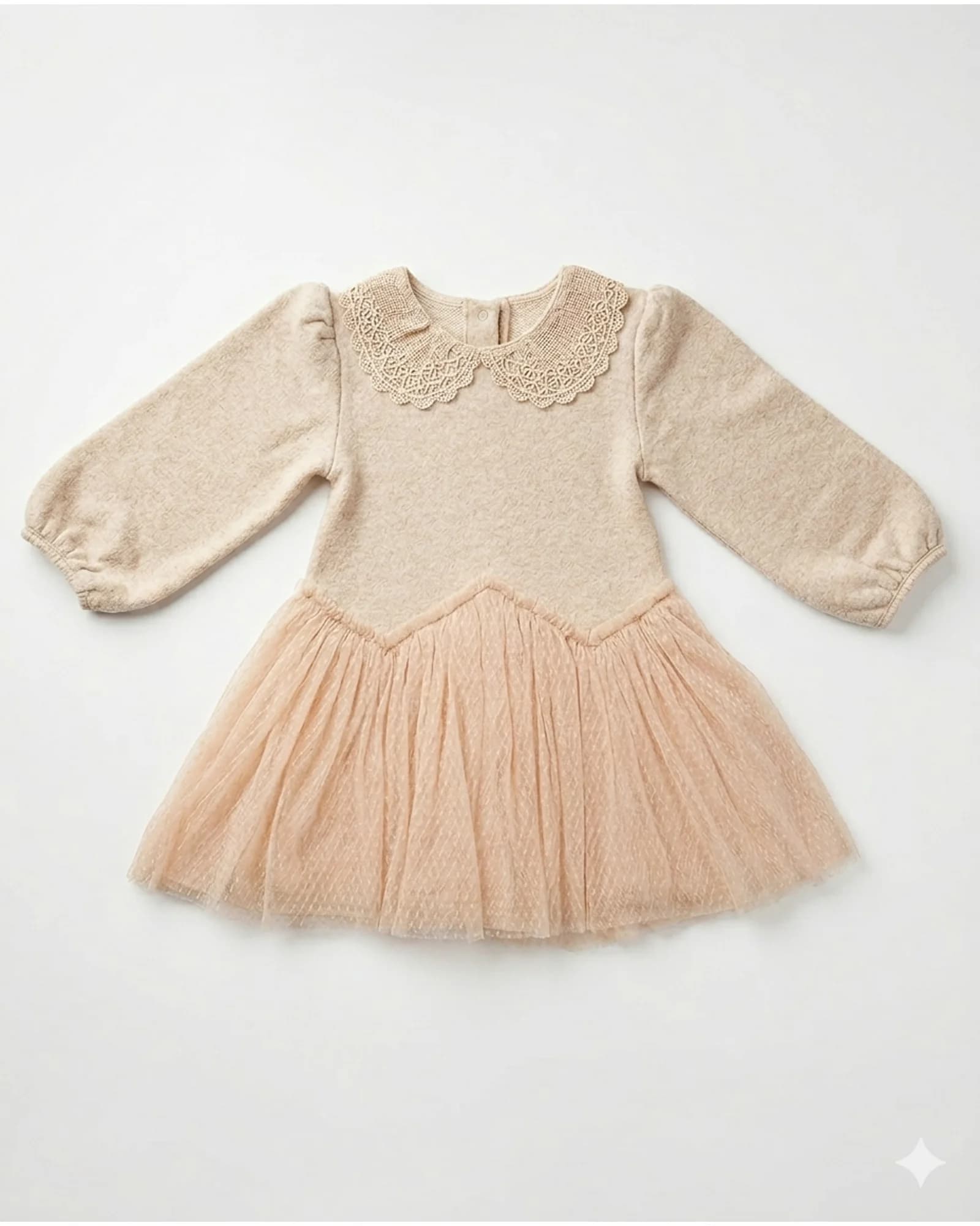 Lace Collar Tulle Dress